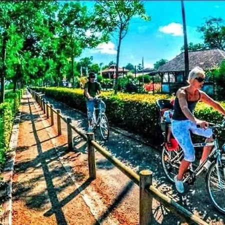 Campsite Mobil-home Du Mimizan Aureilhan (Landes)